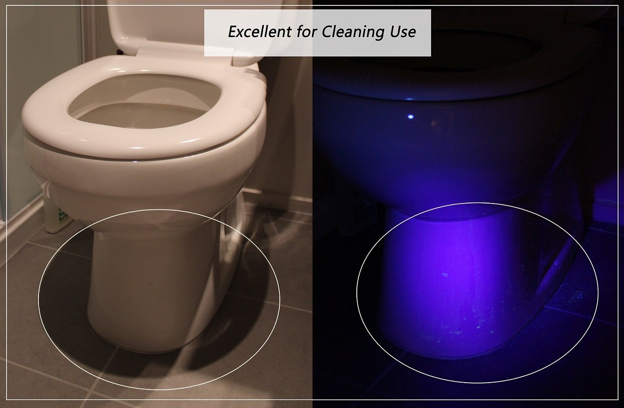 urine ultraviolet uv sight blacklight stain torch detector